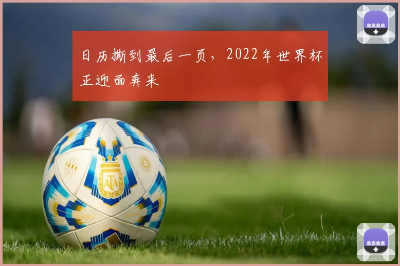日历撕到最后一页，2022年世界杯正迎面奔来