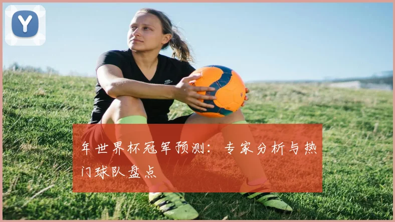 年世界杯冠军预测：专家分析与热门球队盘点
